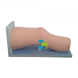 “康为医疗”高级电子膝关节腔内注射模型