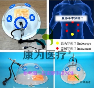 张家港“康为医疗”泌尿外科专用腹腔镜手术模拟训练装置