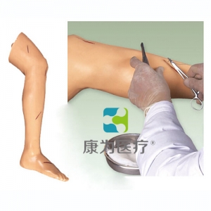 张家港“康为医疗”高级外科缝合腿肢模型