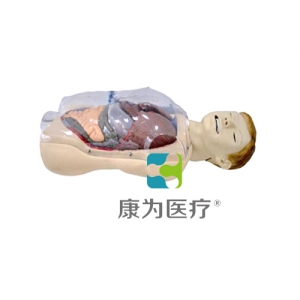 张家港“康为医疗”三腔二囊管训练模型