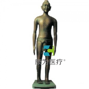 上海“康为医疗”仿古针灸铜人166cm