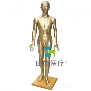 太仓“康为医疗”人体针灸模型178CM(青铜色）