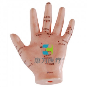 张家港“康为医疗”手针灸模型13CM