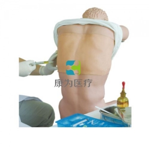“康为医疗”胸腔（背部）穿刺训练模型（基础版，升级版）