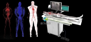 全身人体动静脉血管模型,动静脉血管及骨骼模拟系统