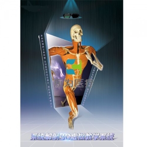 “康为医疗”系统解剖3D虚拟教学系统